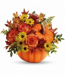 Warm Fall Wishes Bouquet Flower Power, Florist Davenport FL